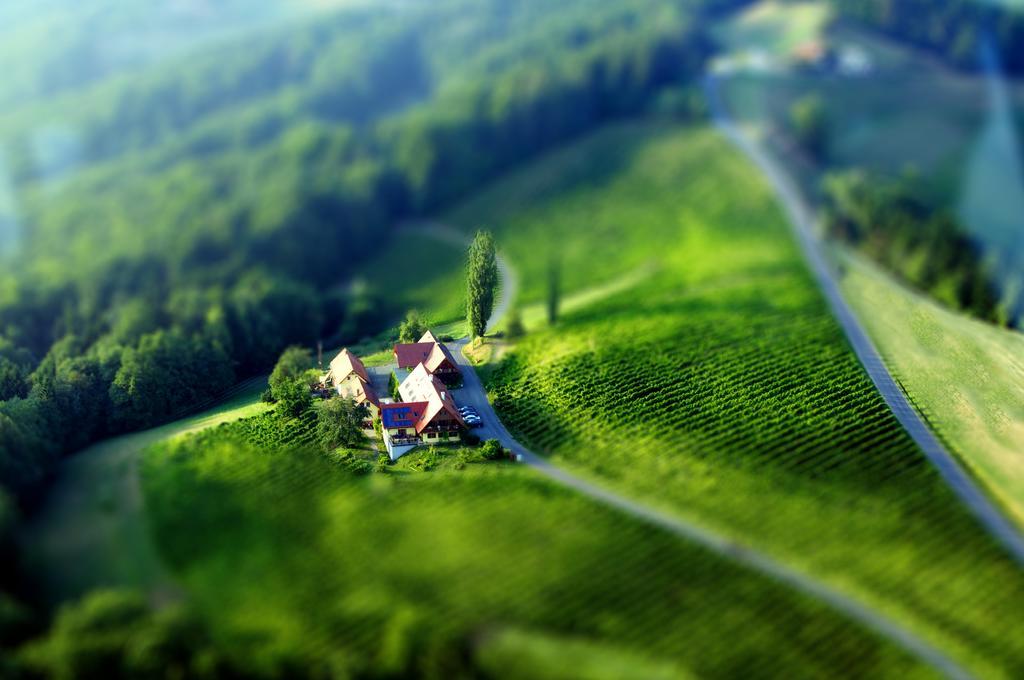 Weingut Winzerzimmer Rothschaedl Лойчах Екстер'єр фото