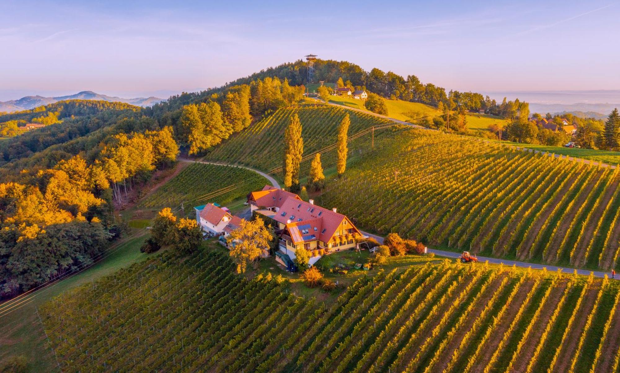 Weingut Winzerzimmer Rothschaedl Лойчах Екстер'єр фото
