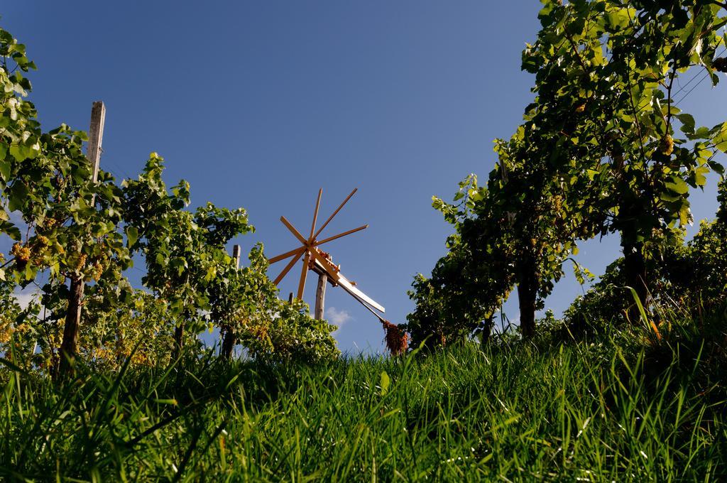Weingut Winzerzimmer Rothschaedl Лойчах Екстер'єр фото
