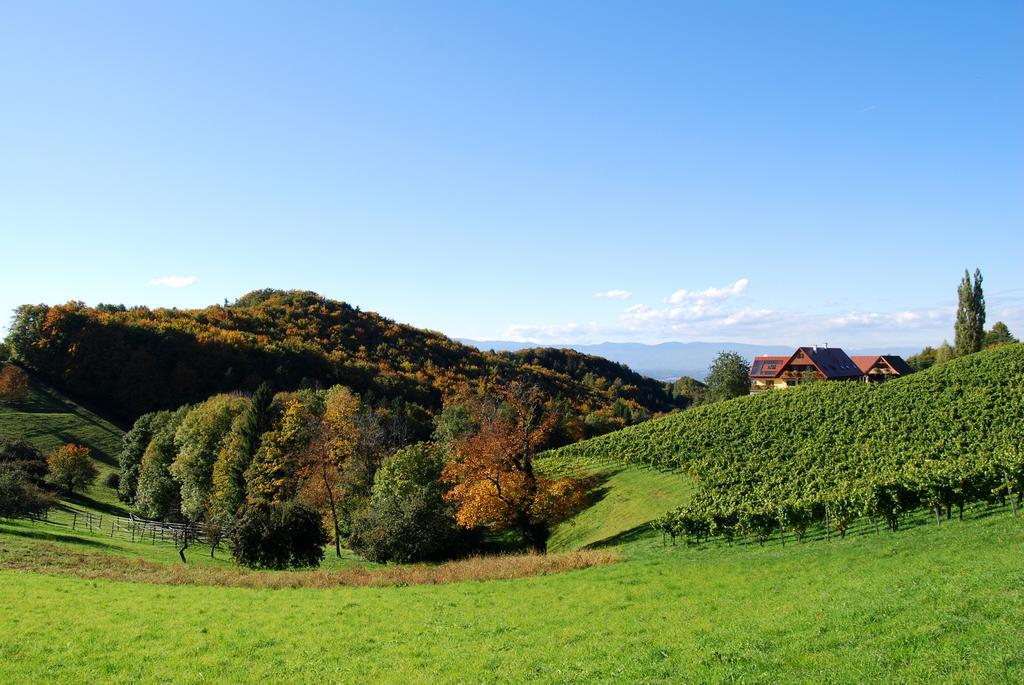 Weingut Winzerzimmer Rothschaedl Лойчах Екстер'єр фото