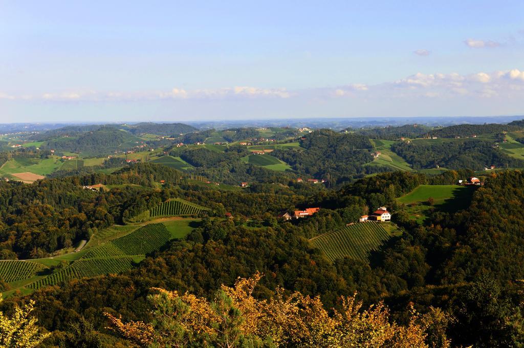 Weingut Winzerzimmer Rothschaedl Лойчах Екстер'єр фото